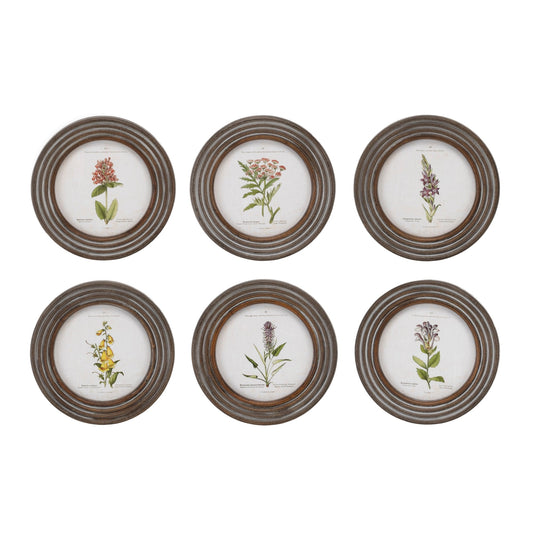 Round Framed Floral Print (Set of 6)