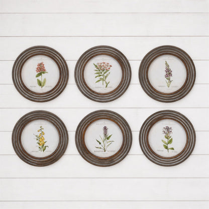 Round Framed Floral Print (Set of 6)