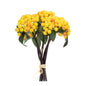 Yellow Berry Bundle (Set of 2)