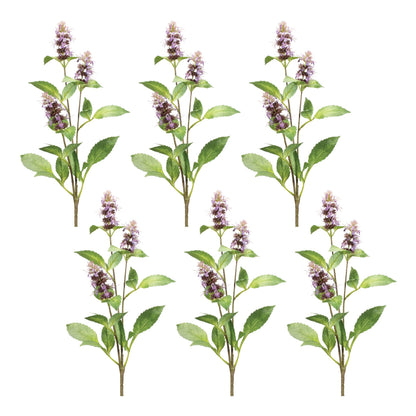 Buddleia Floral Stem (Set of 6)