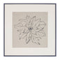 Framed Poinsettia Print Under Glass 20"SQ