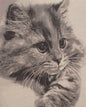 Mister Whiskers Stretched Wall Tapestry
