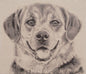 Happy Canine Stretched Wall Tapestry