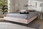Baxton Studio Volden Glam and Luxe Light Pink Velvet Fabric Upholstered Full Size Wood Platform Bed Frame with Gold-Tone Leg Tips