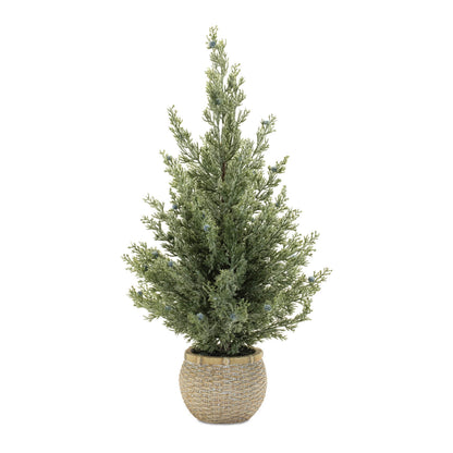 Potted Mini Pine Tree (Set of 2)