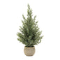 Potted Mini Pine Tree (Set of 2)