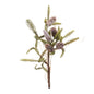 Pine Twig and Pinecone Spray (Set of 6)