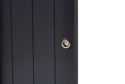 Baxton Studio Leone Modern and Contemporary Charcoal Finished 2-Door Wood Entryway Shoe Storage Cabinet