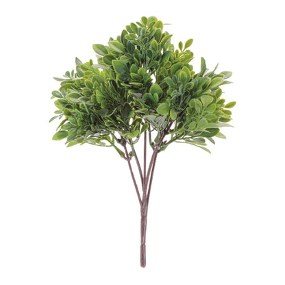 Boxwood Foliage Bush (Set of 6)