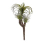 Air Plant Succulent Pick (Set of 6)