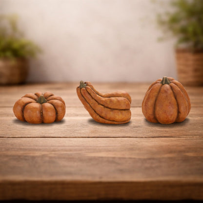 Rustic Terra Cotta Pumpkin Decor (Set of 3)