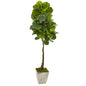 67" Fiddle Leaf Artificial Tree in Country White Planter (Real Touch)