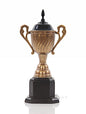Alum/Wooden Trophy Big