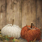 Mini Chenille Pumpkin 2 Asstd. (Pack of 4)