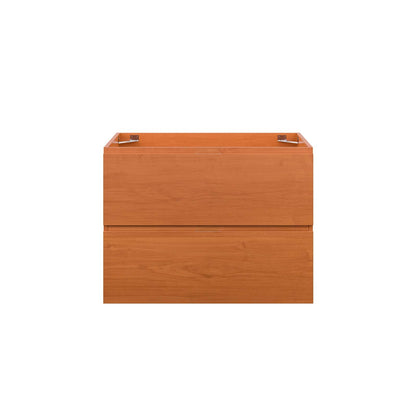 Scenic 30" Wall-Mount Bathroom Vanity Cabinet (Sink Basin Not Included) by Modway