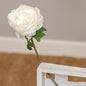 Peony Stem White  (Pack of 4)
