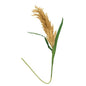 Pampas Grass Spray 43.5" (Pack of 2)