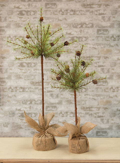 Cypress Topiary Tree 2 ft.
