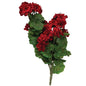 Geranium & Vine Bush