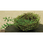 Mossy Bird Nest - 5-1/2" (Pack of 4)