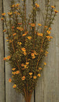 Rust Astilbe Bush - 21" (Pack of 2)