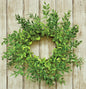 Lemon Beauty Wreath 9-1/2" (Pack of 2)