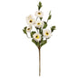 White Daisy Pick 15" (Pack of 4)