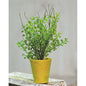 Potted Fern (Pack of 4)