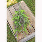 Eucalyptus Lavender Berry Bush (Pack of 2)