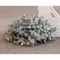 Pebble Eucalyptus Half Sphere 7.5" (Pack of 4)