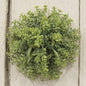 After Rain Half Sphere 9" (Pack of 2)