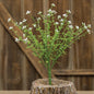 Pixieflower Bush Cream 14" (Pack of 4)