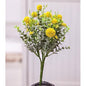 '+Garden Bliss Bush 10" (Pack of 4)