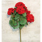 Geranium Bush 18" Red