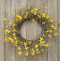 Star Forsythia Wreath 20"