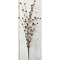 Buttercup Pick-Burgundy (Pack of 4)