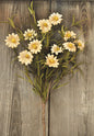 Tea Stained Daisy Pick (Pack of 4)
