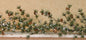 Snowy Brush Pine Garland 5 ft.