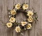 Teastain Daisy & Pip Ring 3-1/2" (Pack of 4)