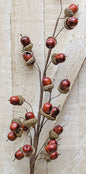 Acorn Spray - 27" (Pack of 4)