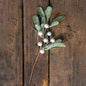 Frosted Mistletoe Pick (Pack of 4)