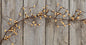 Old Gold Wispy Pip Garland 5' (Pack of 4)