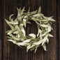 Flocked Herb Leaves Ring 3.5"  (Pack of 4)