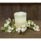 Cream English Dogwood Ring 3.5" (Pack of 4)