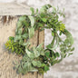 Succulent Garden Ring 3.5"  (Pack of 4)