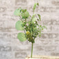 Succulent Garden Pick 14"  (Pack of 4)