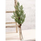 Mossy Cedar Pine Spray 19"  (Pack of 4)