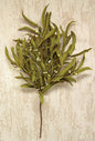 Herb Bush (Pack of 2)