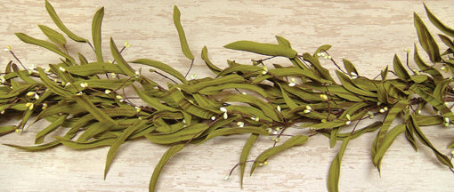Herb Garland w/Citron Pip Berries