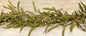 Herb Garland w/Citron Pip Berries